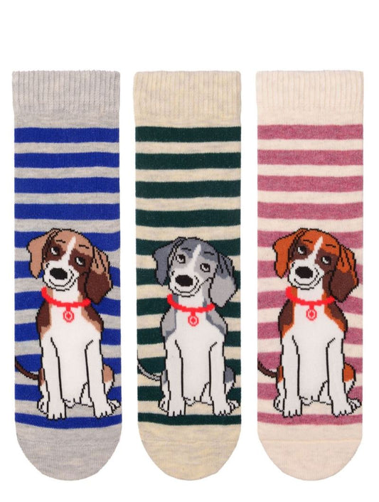 DOG collection 3-pack socks